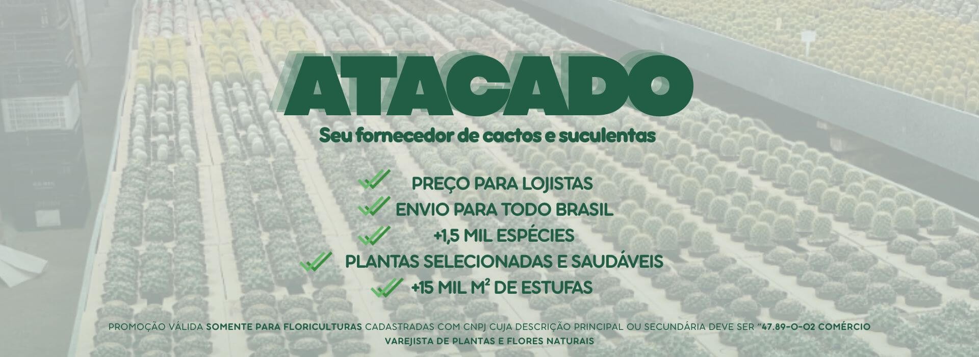 ATACADO