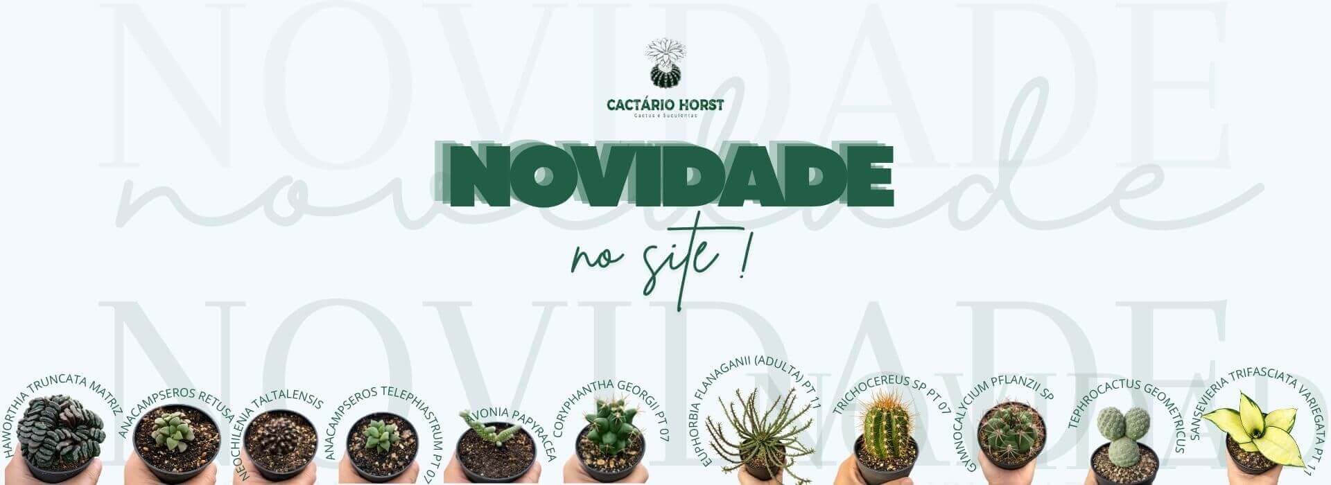 novidades