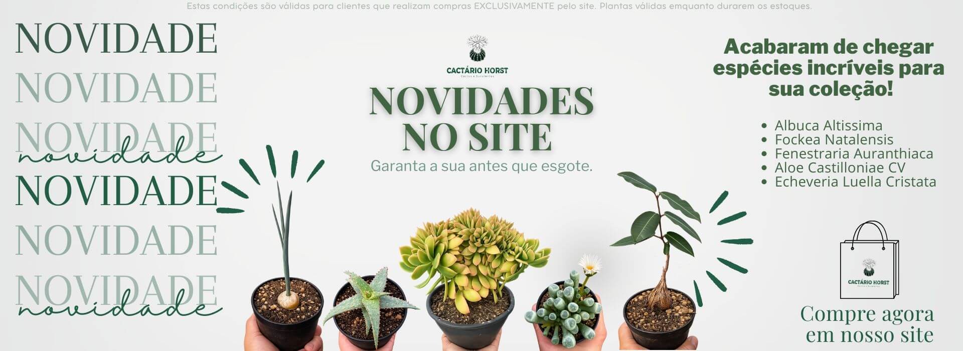NOVIDADES