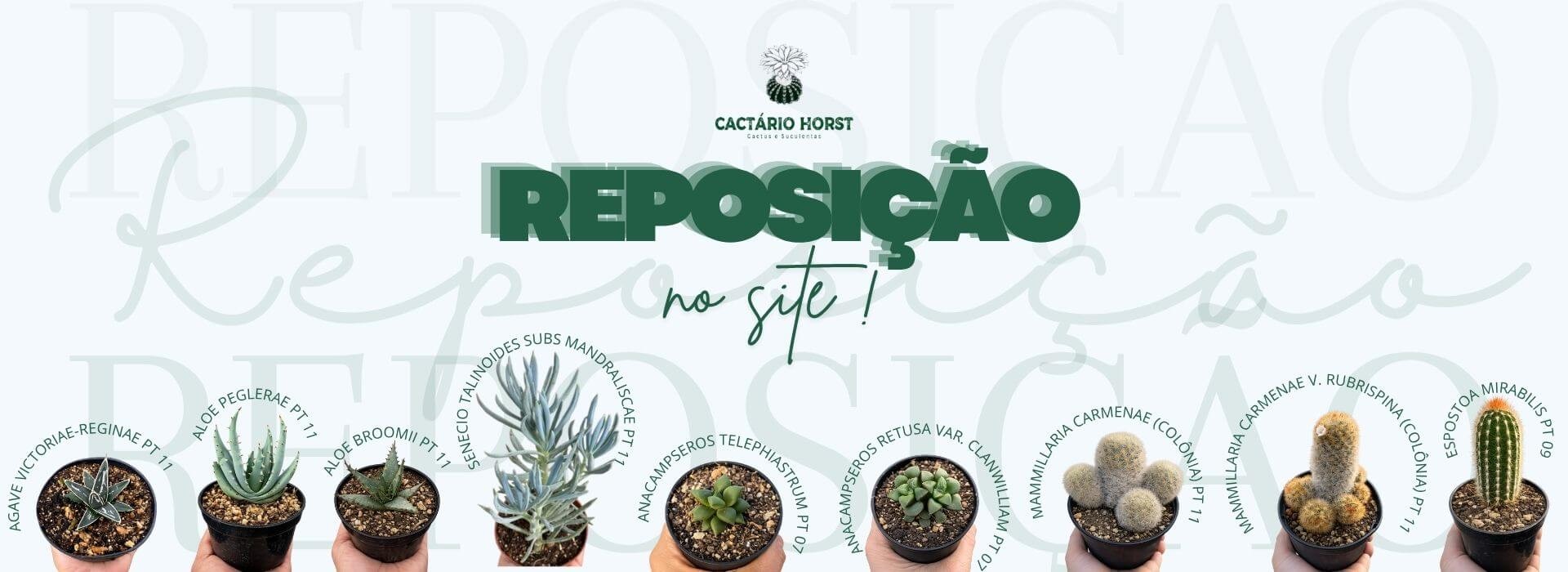 reposição